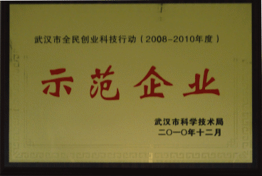 武漢市全民創業科技行動示范企業